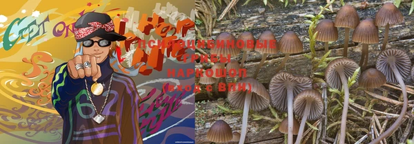 дживик Володарск