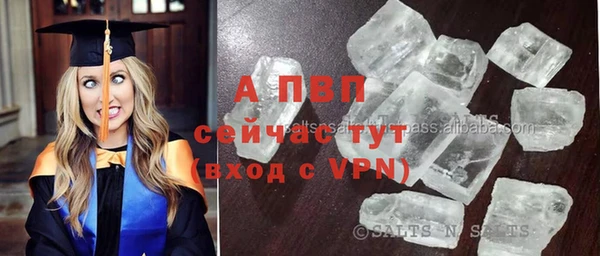 дживик Володарск