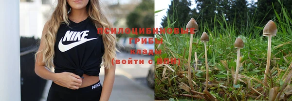 дживик Володарск