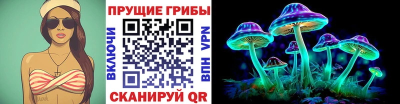 хочу   Мариинск  Псилоцибиновые грибы GOLDEN TEACHER 