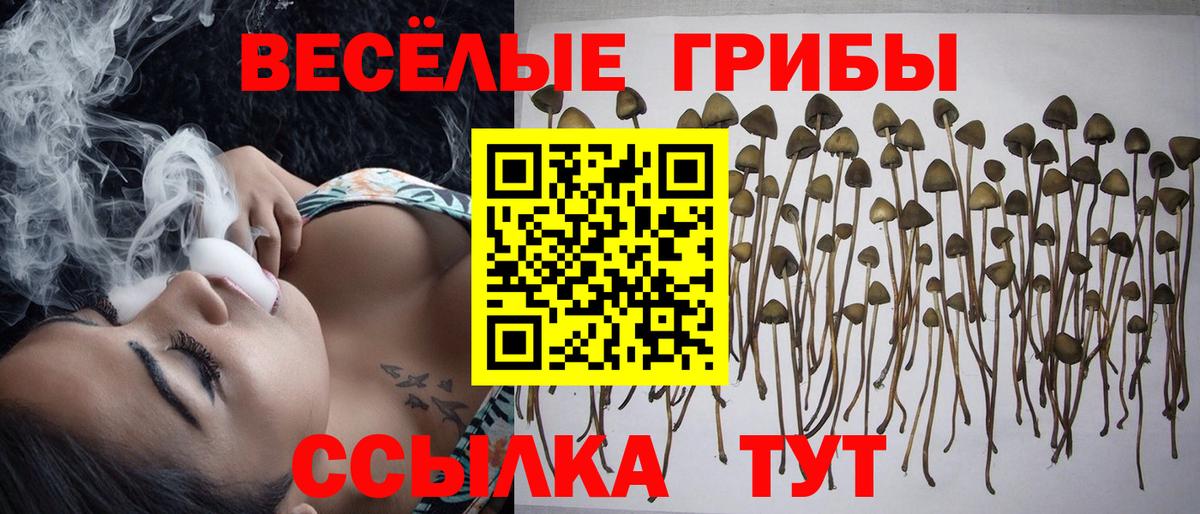 Псилоцибиновые грибы Magic Shrooms Мариинск