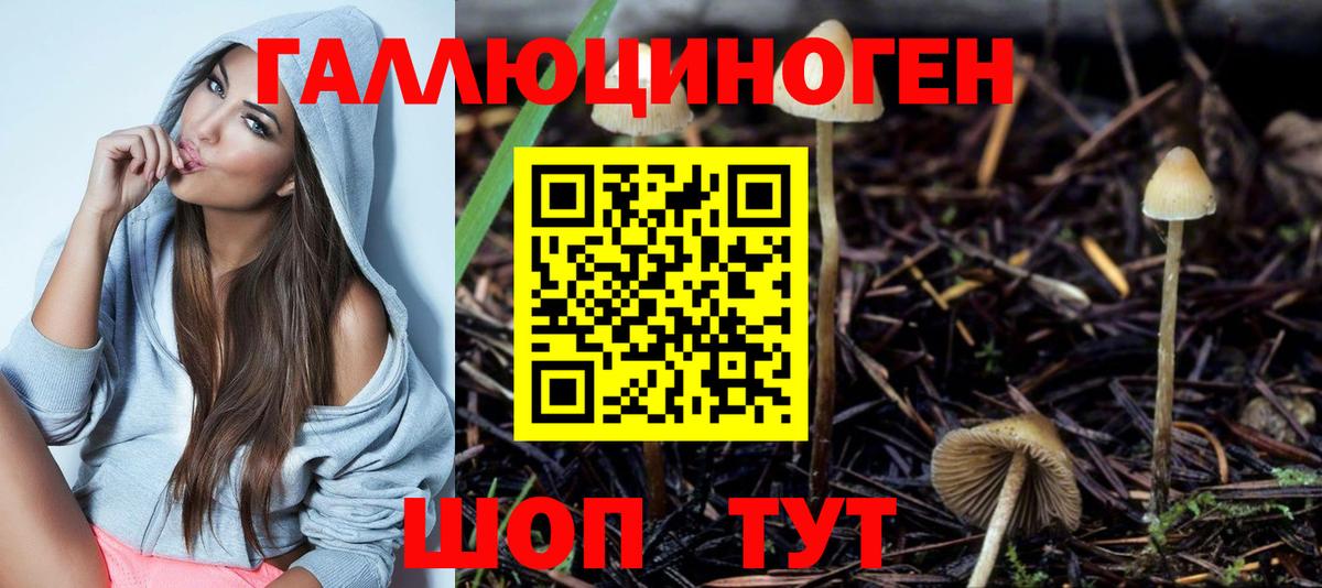Мариинск  Галлюциногенные грибы GOLDEN TEACHER  Галлюциногенные грибы MAGIC MUSHROOMS  Вход с VPN 